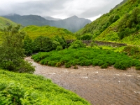 Glencoe